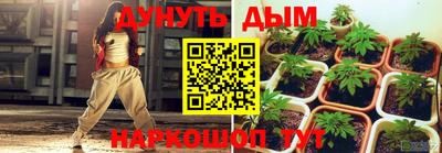 крисы Донской