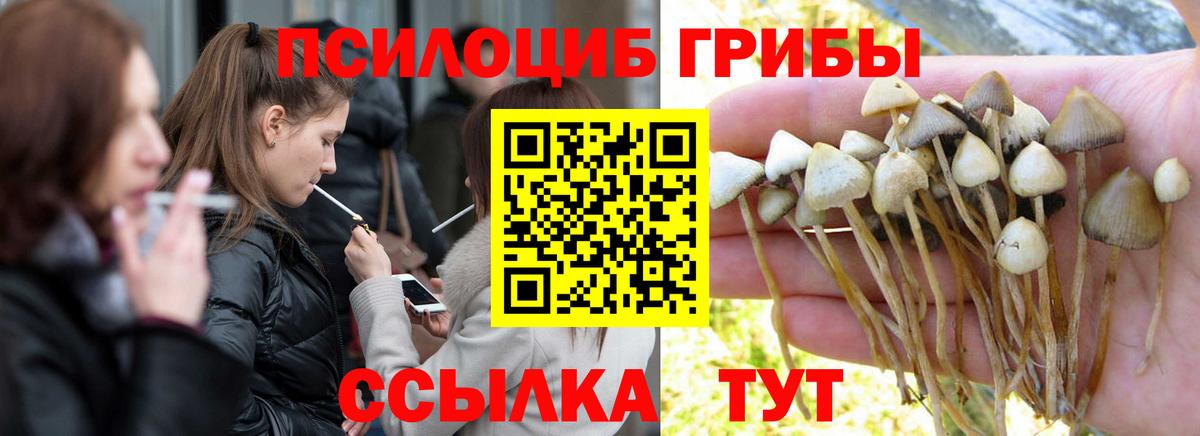 купить наркотики сайты  Псилоцибиновые грибы Magic Shrooms  Вход с VPN  Магнитогорск 